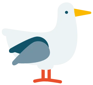 https://werkenbijraamwerk.sptest.nl/storage/pwx_media/131/Meeuw.webp