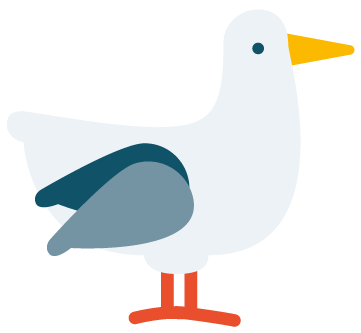 https://werkenbijraamwerk.sptest.nl/storage/pwx_media/80/Meeuw.png